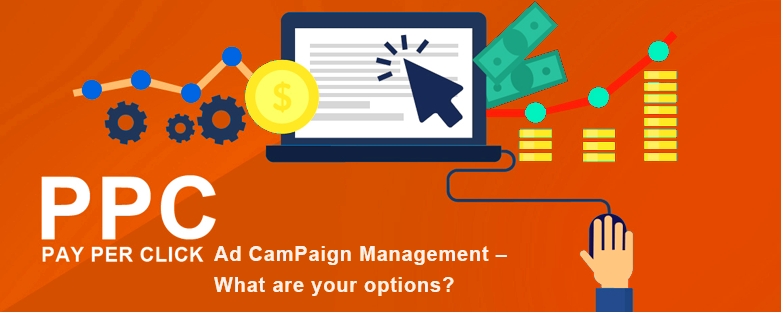ad-campaign-management-what-are-your-options
