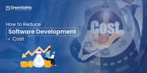 How to Reduce Software Development Cost?