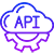 Custom-API-Integration