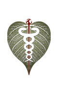 bodhi_logo